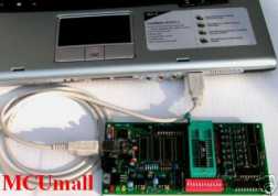 True USB Willem Programmer (GQ-2X)